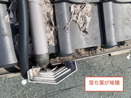 雨樋　詰まり　集水器　落ち葉　堆積