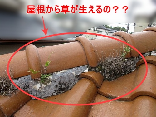 豊橋市　漆喰　雨漏り　S型瓦屋根　