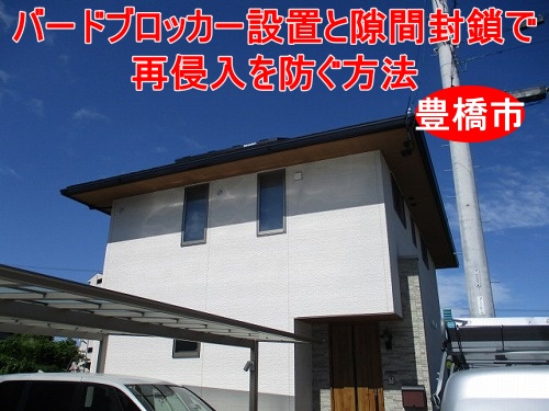 豊橋市｜ソーラー発電の鳥害対策、バードブロッカー設置と隙間封鎖で再侵入を防ぐ方法