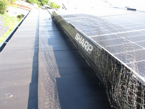 鳥の巣　防鳥対策　太陽光パネル　豊橋市　ＳＨＡＲＰ