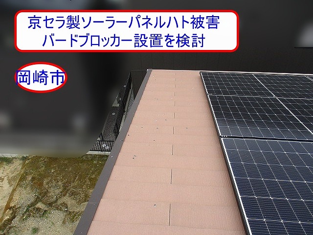 岡崎市で京セラ製ソーラーパネルの鳥害対策をご提案｜ハトの巣再発防止へバードブロッカー設置を検討