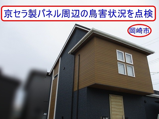 岡崎市でカラーベスト屋根の太陽光パネル下にハトが侵入｜京セラ製パネル周辺の鳥害状況を点検