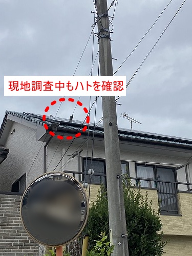 豊川市　バードブロッカー　太陽光　フン被害　鳥害