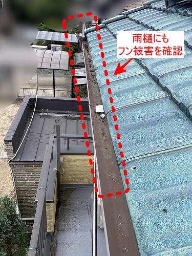 豊川市　バードブロッカー　太陽光　フン被害　鳥害