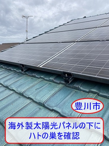 豊川市で海外製太陽光パネルの下にハトの巣を確認｜屋根との隙間に営巣した現場を詳しくご紹介