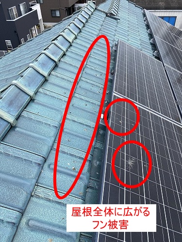 豊川市　バードブロッカー　太陽光　フン被害　鳥害