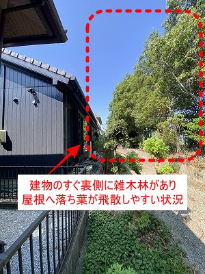 田原市　落ち葉　雑木林　雨樋