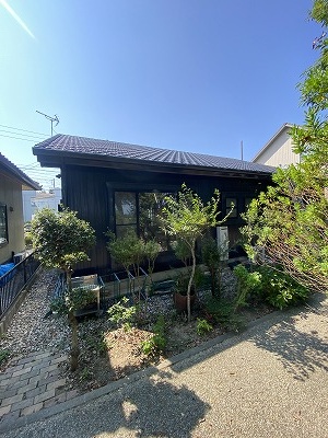 田原市　落ち葉　雑木林　雨樋