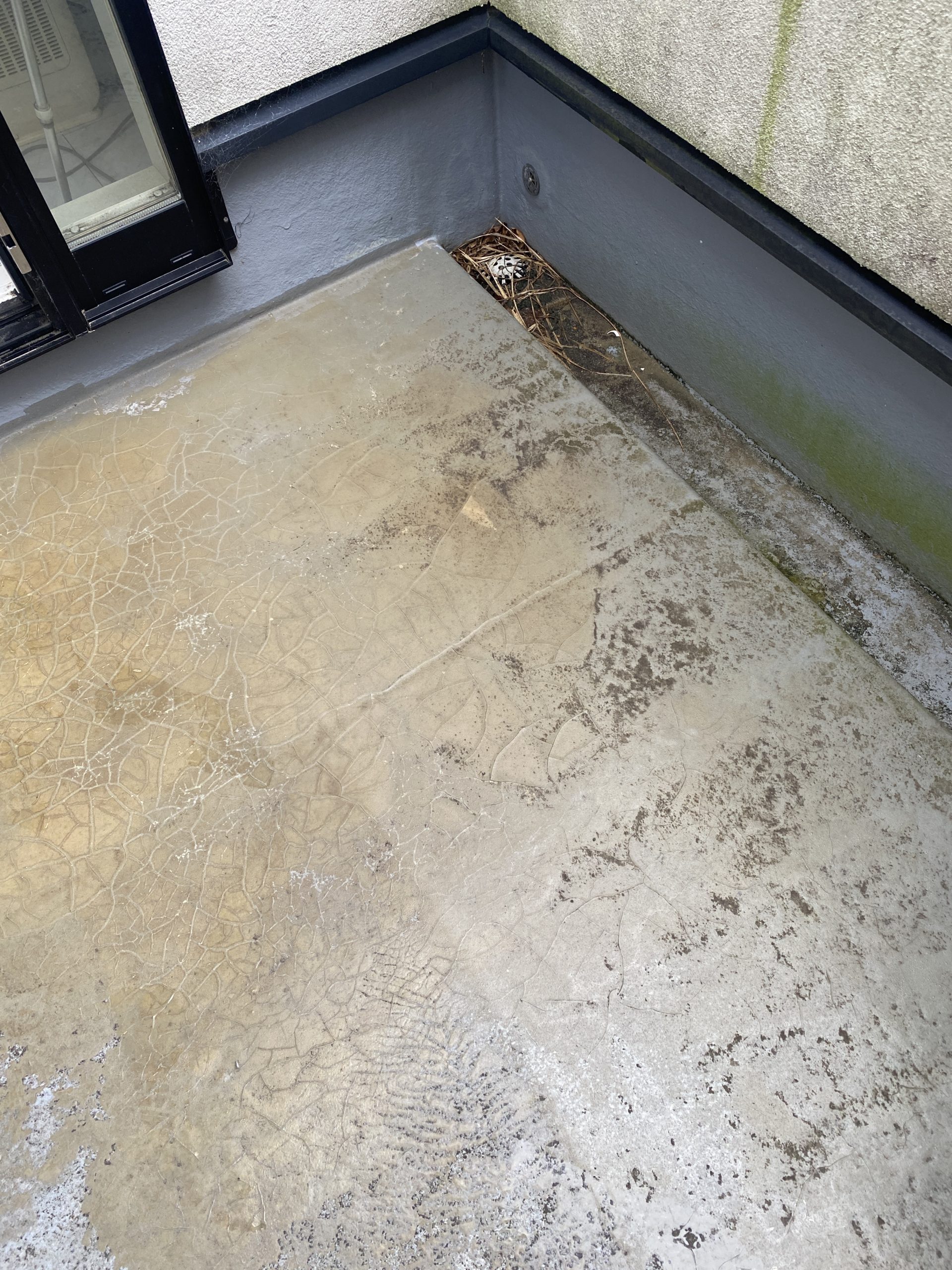 床面全体のひび割れを確認