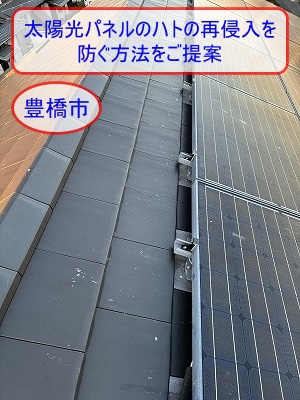 豊橋市　TOSHIBA太陽光パネルの鳥害対策をご提案｜ハトの再侵入を防ぐ方法
