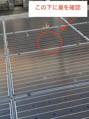 豊橋市　東芝　太陽光　鳥害被害　ソーラーパネル　