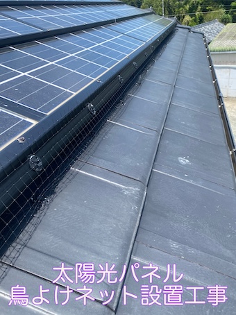 豊橋　太陽光パネル　鳥よけ　ネット　鳥の巣