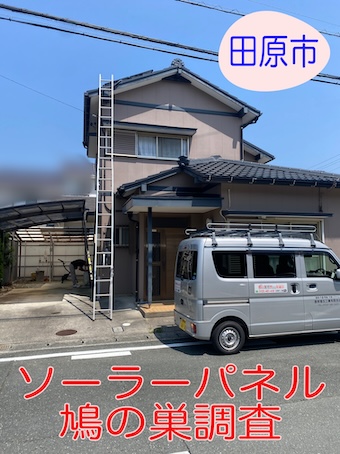 田原市にてソーラーパネル下の鳩被害を専門店が調査、最適な巣対策とは？