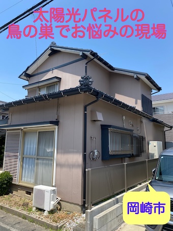 岡崎市で発見！太陽光パネル下の鳩の巣、放置すると危険？対策工事は？