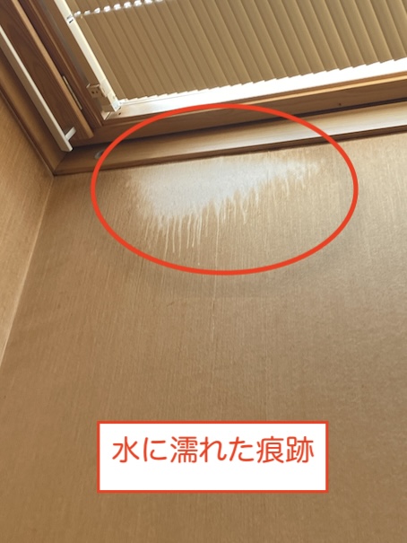 岡崎市　ベルックス　トップライト　天窓　雨漏り　撤去