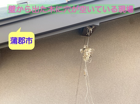 蒲郡市で屋根の横の木に穴?無料点検で分かった母屋(もや)の劣化を周辺の構造材の名称とともに解説します