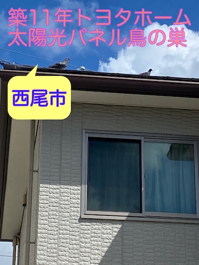 西尾市で築11年のトヨタホーム太陽光パネルに鳥害！対策工事をご提案