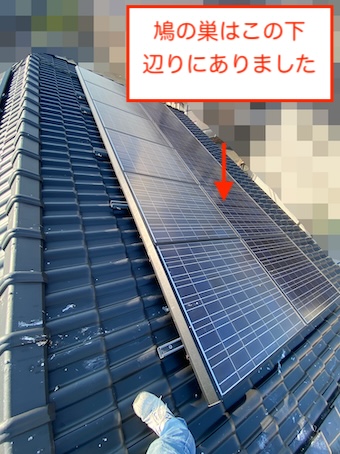 新城市　ソーラーパネル　太陽光　鳥の巣