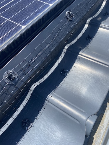 鳩よけ　ネット　固定