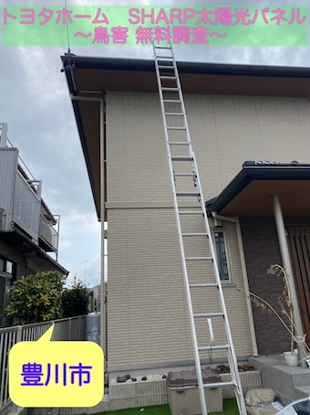 豊川市でトヨタホームのシャープ太陽光に鳥害！施工ID保有者が無料調査、ネット設置工事をご提案