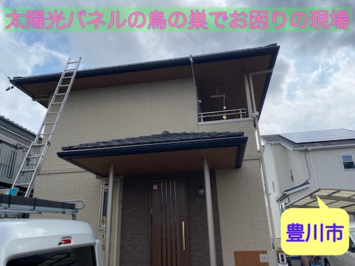 豊川市　有資格者による太陽光パネルの脱着、鳥の巣撤去と清掃にかかる費用をご紹介！