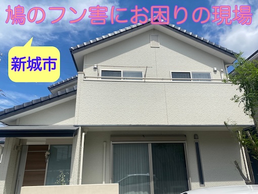 新城市 パナソニックの太陽光パネルに鳩の巣!すぐに出来る鳥害対策とは?