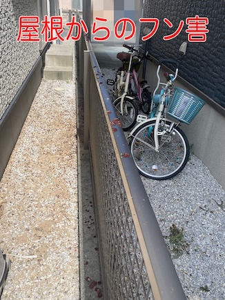 豊川市　屋根から鳥のフン？生活にも支障をきたす太陽光パネル下の鳩の巣を調査
