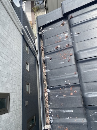 田原市　鳥　糞害　ソーラーパネル　鳥の巣　雨樋　詰まり