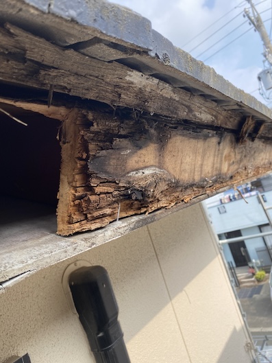 鼻隠し　腐食　樋　下地