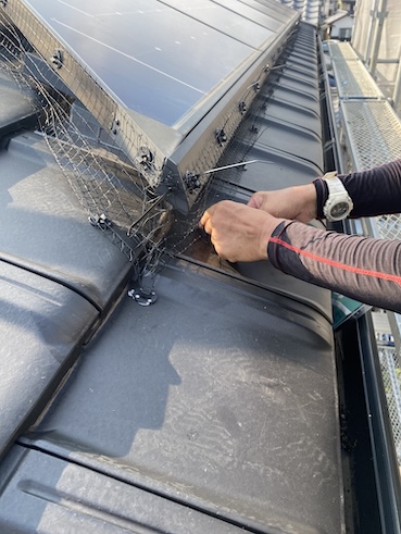 鳥　侵入防止　ネット