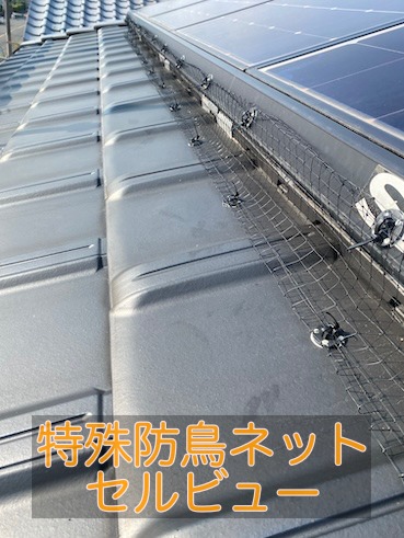 太陽光パネル　鳥　被害　鳥の巣　セルビュー　防鳥　対策