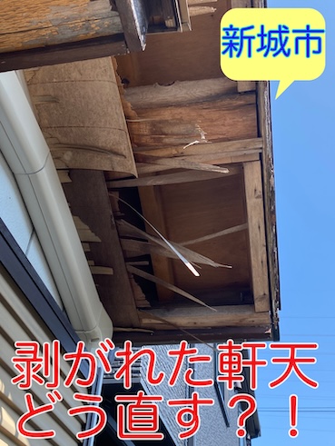 新城市で軒天のめくれを調査！部分補修や全面張り替え修理費用は？