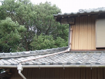 田原市にて春の嵐の突風でずれてしまった瓦を調査、屋根の端に取付けてある袖瓦のずれでした