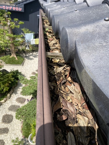 豊橋市　雨樋　落ち葉　雑木林　清掃　雑草