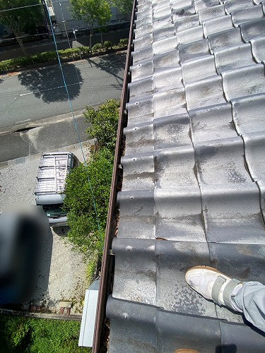 豊橋市　雨樋　落ち葉　雑木林　清掃　雑草