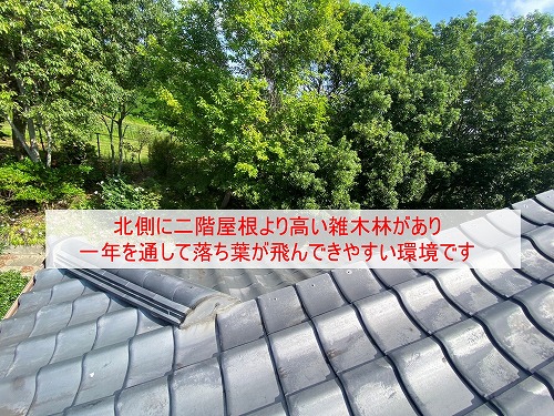 豊橋市　雨樋　落ち葉　雑木林　清掃　雑草