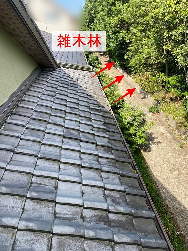 豊橋市　雨樋　落ち葉　雑木林　清掃　雑草