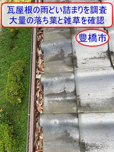 豊橋市で瓦屋根の雨どい詰まりを調査｜北側の雑木林から飛来した大量の落ち葉と雑草を確認