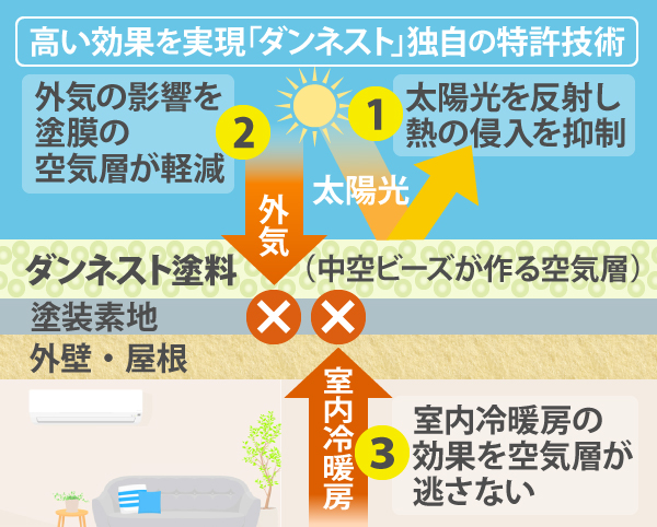 ダンネスト　特徴　イラスト