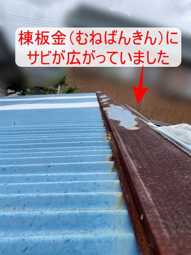 豊橋市　ポリカ　物置小屋　台風　棟板金サビ
