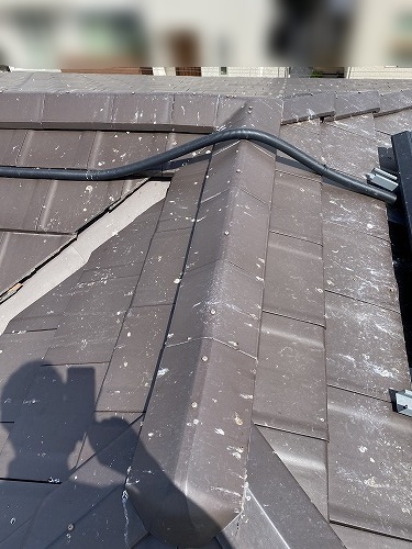 太陽光パネル　フン被害　鳥の巣